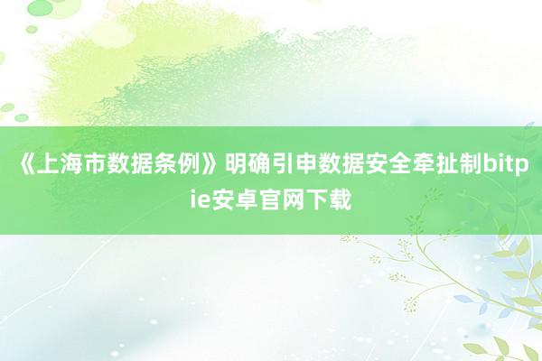 《上海市数据条例》明确引申数据安全牵扯制bitpie安卓官网下载