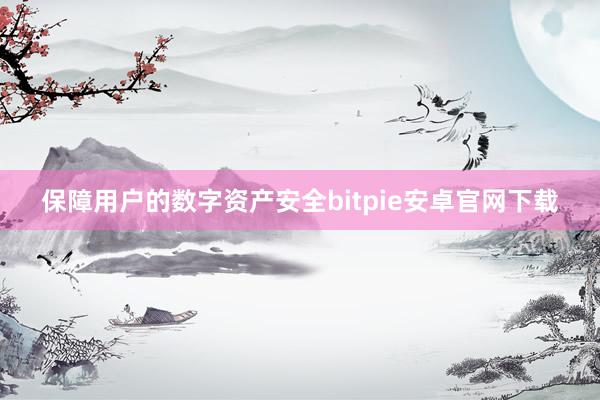 保障用户的数字资产安全bitpie安卓官网下载