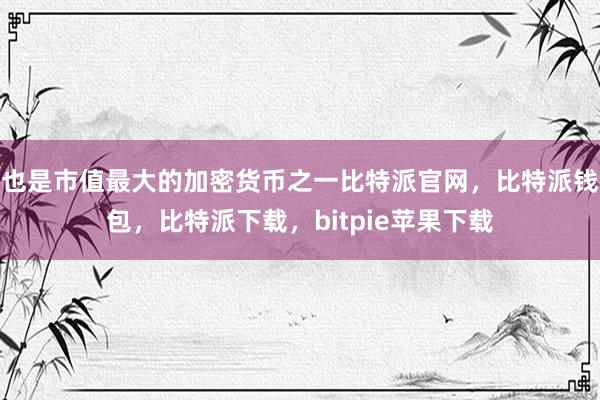 也是市值最大的加密货币之一比特派官网，比特派钱包，比特派下载，bitpie苹果下载