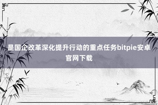 是国企改革深化提升行动的重点任务bitpie安卓官网下载