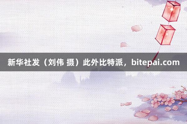 新华社发（刘伟 摄）此外比特派，bitepai.com