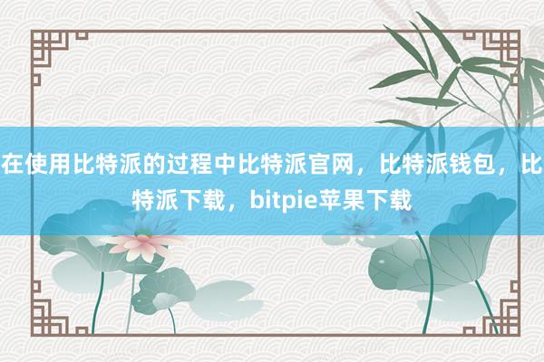 在使用比特派的过程中比特派官网，比特派钱包，比特派下载，bitpie苹果下载