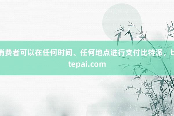 消费者可以在任何时间、任何地点进行支付比特派，bitepai.com