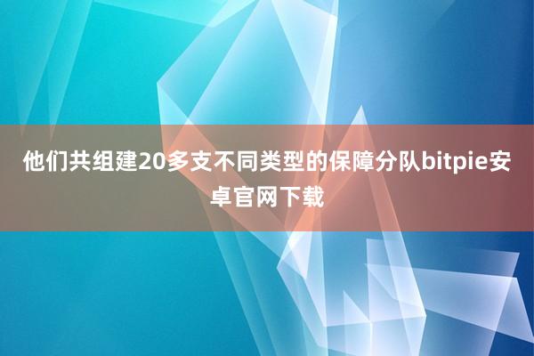 他们共组建20多支不同类型的保障分队bitpie安卓官网下载