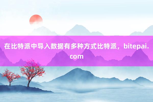 在比特派中导入数据有多种方式比特派，bitepai.com