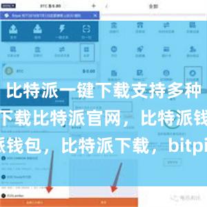 比特派一键下载支持多种种子文件的下载比特派官网，比特派钱包，比特派下载，bitpie苹果下载