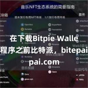 在下载Bitpie Wallet应用程序之前比特派，bitepai.com