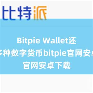 Bitpie Wallet还支持多种数字货币bitpie官网安卓下载