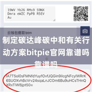 制定碳达峰碳中和有关行动方案bitpie官网靠谱吗