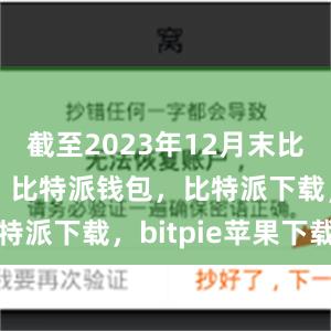 截至2023年12月末比特派官网，比特派钱包，比特派下载，bitpie苹果下载